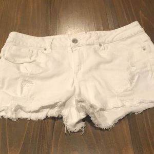 No Boundaries Shorts 17